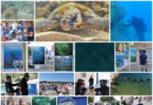 Boje zemlje emisija o moru 20.6.2021.