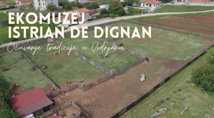 Očuvanje tradicije i običaja Vodnjanštine kroz Ekomuzej Istrian de Dignan