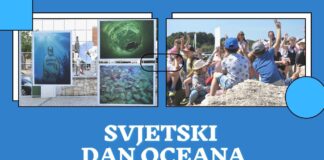Svjetski dan oceana