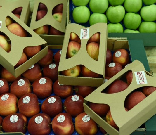 Jabuke prvi proizvodi označeni znakom Dokazana kvaliteta – Hrvatska