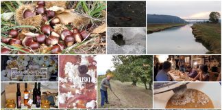 Poljoprivredna emisija Boje zemlje emisija 24.10.2021.