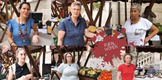 ARKA DOMAĆIH OKUSA: Fresh food days