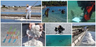 Boje zemlje emisija o moru 17.10.2021.