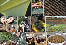 Poljoprivredna emisija Boje zemlje 31.10.2021.