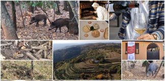 Poljoprivredna emisija Boje zemlje 14.11.2021.