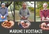 Istarski maruni i kesteni