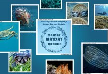 MAYDAY MAYDAY MEDULIN – izložba podvodne fotografije