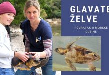 Povratak morskih kornjača u more