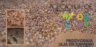 BIOEKONOMIJA I OIE U POLJOPRIVREDI: Proizvodnja ulja od sjemenki grožđa