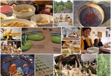 Poljoprivredna emisija Boje zemlje 26.12.2021.