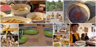 Poljoprivredna emisija Boje zemlje 26.12.2021.