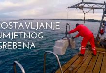 Postavljanje umjetnog grebena u porečkom akvatoriju