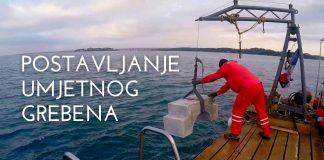 Postavljanje umjetnog grebena u porečkom akvatoriju