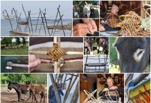 Poljoprivredna emisija Boje zemlje 9.1.2022.