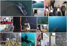 Boje zemlje emisija o moru 23.1.2022.