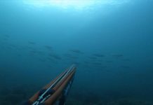 PODVODNI RIBOLOV: Vedran Vitez