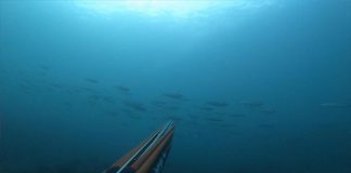 PODVODNI RIBOLOV: Vedran Vitez