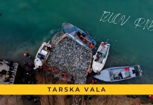 Izlov ribe u Tarskoj vali