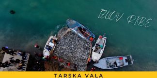 Izlov ribe u Tarskoj vali