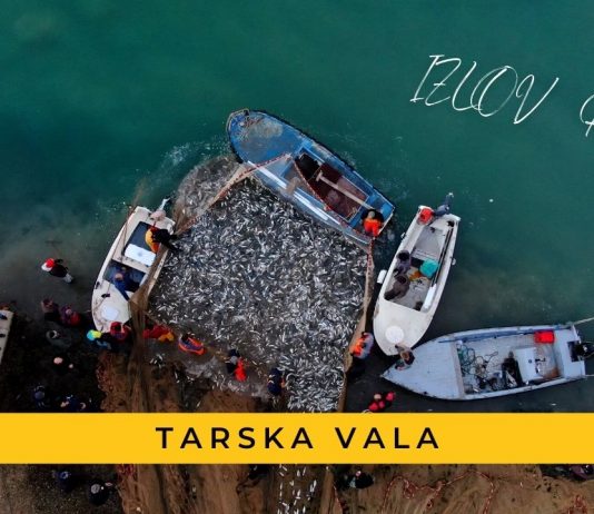 Izlov ribe u Tarskoj vali