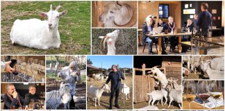 Poljoprivredna emisija Boje zemlje 6.2.2022.