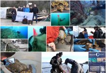 Boje zemlje emisija o moru 13.2.2022.