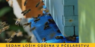 Slatka priča gorka okusa: Sedam loših godina u pčelarstvu