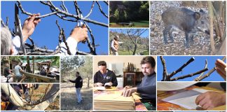 Poljoprivredna emisija Boje zemlje 27.2.2022. Boje zemlje