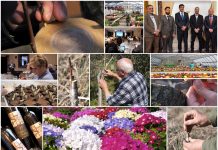 Poljoprivredna emisija Boje zemlje 6.3.2022.