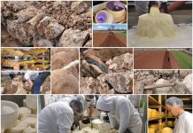 Poljoprivredna emisija Boje zemlje 20.3.2022.