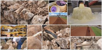 Poljoprivredna emisija Boje zemlje 20.3.2022.