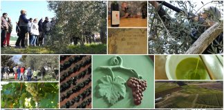 Poljoprivredna emisija Boje zemlje 27.3.2022.