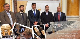 En primeur – Kušanje mladih malvazija i autohtonih sorti Kvarnera i Bregovite Hrvatske