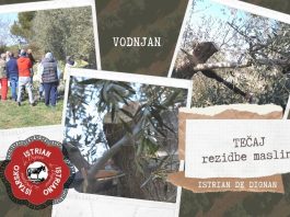 Tečaj rezidba masline