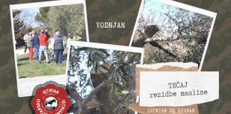 Tečaj rezidba masline