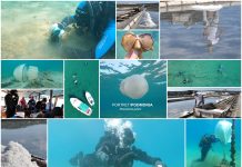 Boje zemlje emisija o moru 3.4.2022.