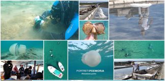 Boje zemlje emisija o moru 3.4.2022.