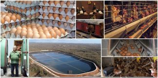 Poljoprivredna emisija Boje zemlje 10.4.2022.