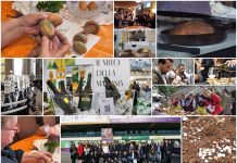 Poljoprivredna emisija Boje zemlje 17.4.2022.