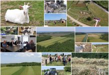 Poljoprivredna emisija Boje zemlje 22.5.2022.