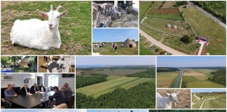 Poljoprivredna emisija Boje zemlje 22.5.2022.