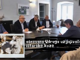 Osnovana Udruga uzgajivača istarske koze
