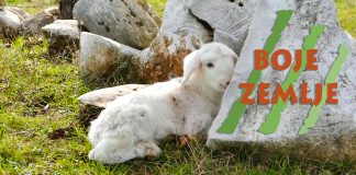 Poljoprivredna emisija Boje zemlje 11.1.2026.