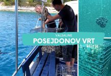 Valsaline – Posejdonov vrt