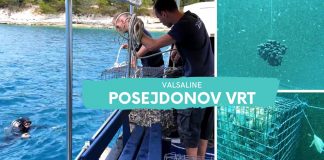 Valsaline – Posejdonov vrt