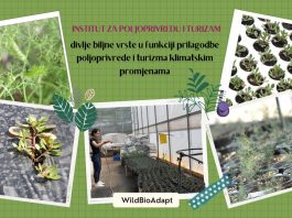 Mogućnost uzgoja samoniklog bilja