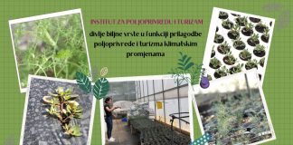 Mogućnost uzgoja samoniklog bilja