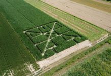 Prvi posavski kukuruzni labirint ”HRVATICA”