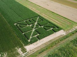 Prvi posavski kukuruzni labirint ”HRVATICA”