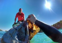 EKO AKCIJA: Guvnina uvala u Premanturi očišćena od morskog otpada